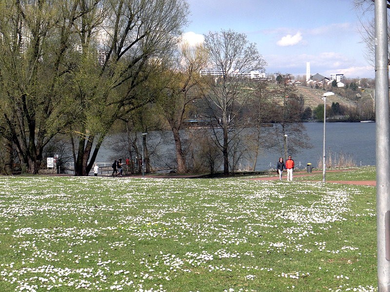 Wir waren dann auch noch ein wenig draußen, schönes Wetter genießen. Der Max-Eyth-See war heute unser Ziel. Allerdings war es doch ziemlich frisch, und die Sonne versteckte sich inzwischen auch öfter hinter dicken Wolken. Vormittag war dasWetter noch deutlich besser. Aber schön war es trotzdem.